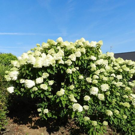 Gite La Grenouillere Esqueheries Luaran gambar