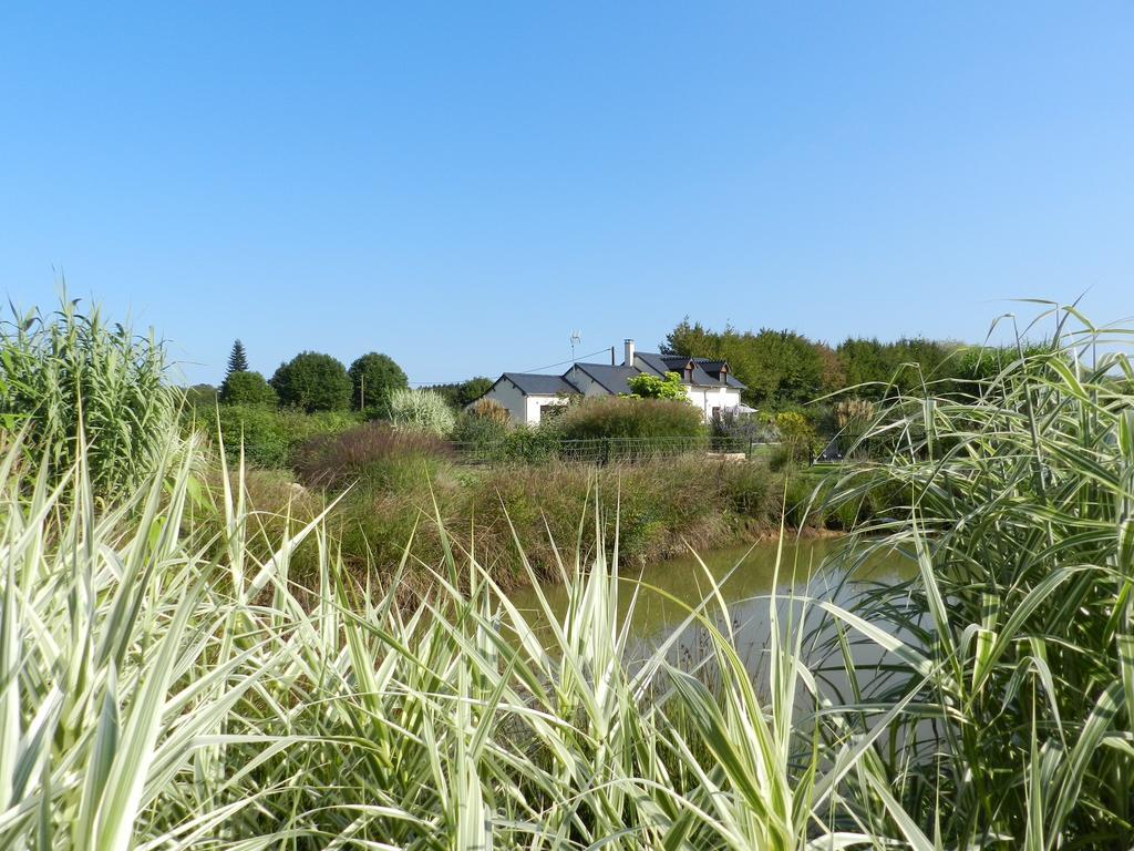 Gite La Grenouillere Esqueheries Luaran gambar