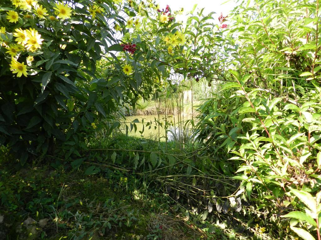 Gite La Grenouillere Esqueheries Luaran gambar