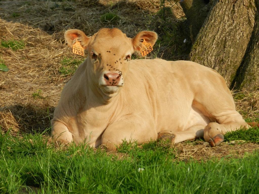 Gite La Grenouillere Esqueheries Luaran gambar