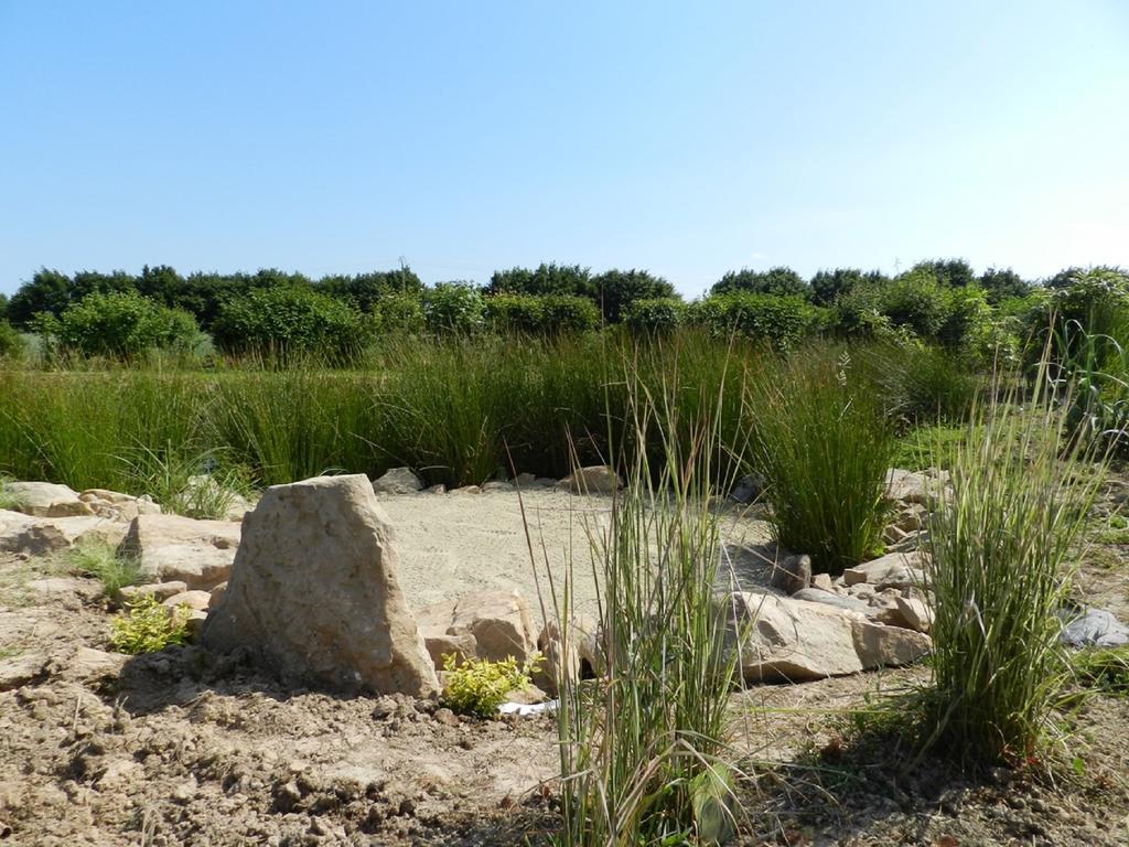 Gite La Grenouillere Esqueheries Luaran gambar