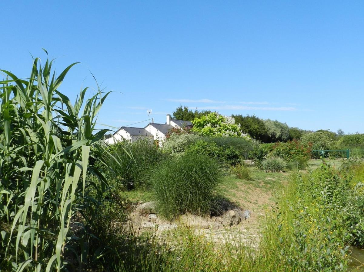 Gite La Grenouillere Esqueheries Luaran gambar